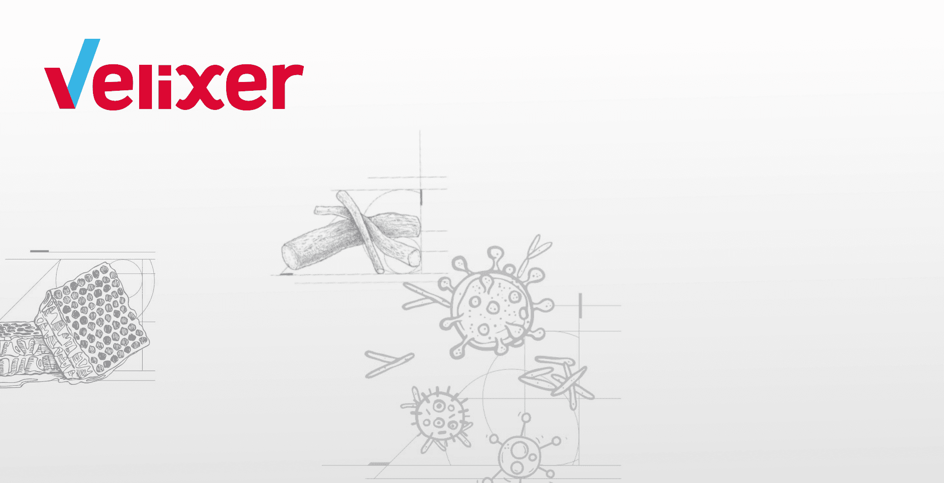 Ảnh nền velixer cho web_1763719319.png