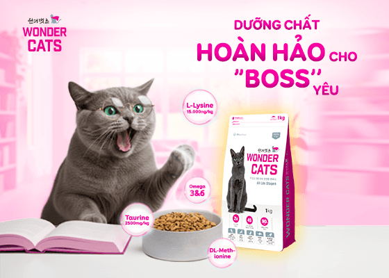 Giải mã bảng thành phần thức ăn hạt cho mèo cùng Wonder Cats