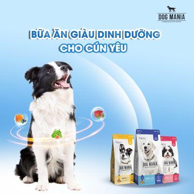 Giải đáp 5+ thắc mắc khi chăm sóc sức khoẻ cho chó con