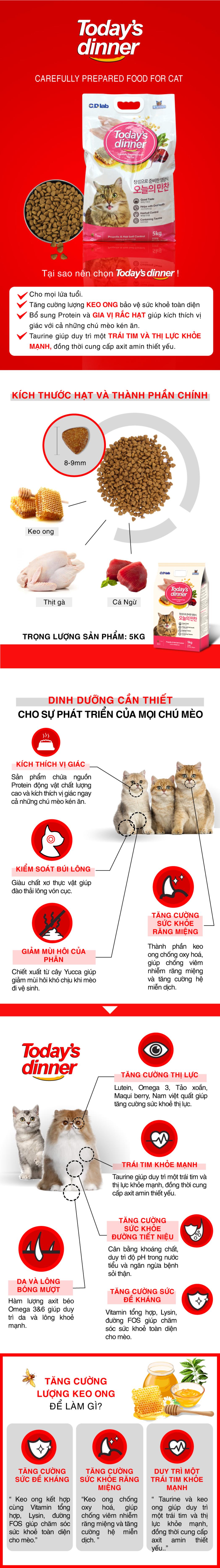 Mèo mlt 1_1766996595.jpg